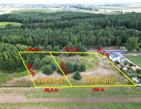 Działka na sprzedaż, Inowrocławski Dąbrowa Biskupia Modliborzyce, 656 500 zł, 6565 m2, 280921