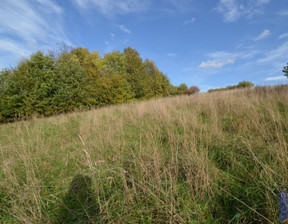 Działka na sprzedaż, Limanowski Jodłownik Kostrza, 65 000 zł, 2500 m2, PROH-GS-31