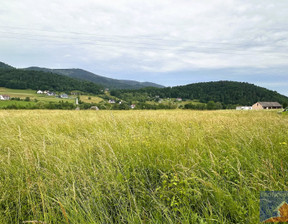 Działka na sprzedaż, Limanowski Limanowa Męcina, 299 000 zł, 3700 m2, PROH-GS-437