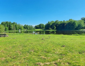 Działka na sprzedaż, Świdwiński Połczyn-Zdrój Toporzyk, 2 600 000 zł, 46 200 m2, QAN20194