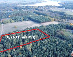 Działka na sprzedaż, Radziejowski Piotrków Kujawski, 220 000 zł, 7431 m2, MDI-GS-4786