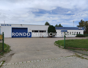 Magazyn na sprzedaż, Wrocław M. Wrocław, 1 500 000 zł, 983 m2, RDO-HS-6416