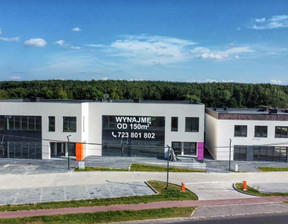 Lokal do wynajęcia, Katowice Podlesie Armii Krajowej, 12 800 zł, 320 m2, 898160