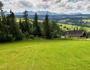 Działka na sprzedaż, Tatrzański Poronin Ząb, 3 900 000 zł, 7978 m2, 2649/2680/OGS