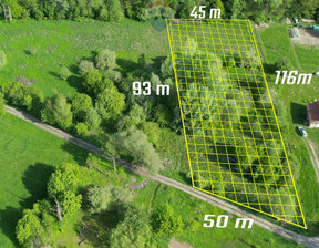 Działka na sprzedaż, Nowodworski Leoncin Wilków Nad Wisłą, 309 600 zł, 4691 m2, 205/7675/OGS