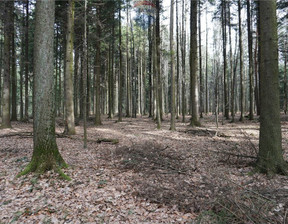 Leśne na sprzedaż, Suski Budzów, 193 950 zł, 12 930 m2, 5488/3123/OGS