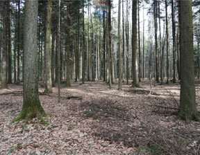 Działka na sprzedaż, Suski Budzów, 193 950 zł, 12 930 m2, 5488/3123/OGS