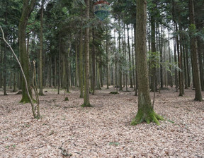 Leśne na sprzedaż, Suski Budzów, 20 000 zł, 850 m2, 5498/3123/OGS