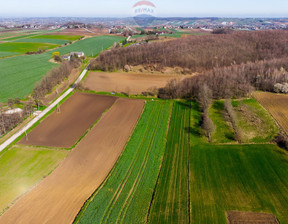 Działka na sprzedaż, Proszowicki Nowe Brzesko Sierosławice, 148 000 zł, 3300 m2, 2130/2680/OGS