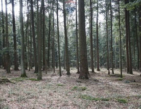 Leśne na sprzedaż, Suski Budzów, 20 000 zł, 1100 m2, 5495/3123/OGS