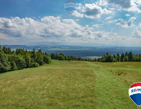 Rolny na sprzedaż, Nowotarski Nowy Targ Knurów, 568 240 zł, 7103 m2, 2521/2680/OGS