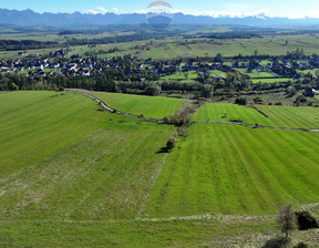 Rolny na sprzedaż, Nowotarski Nowy Targ Ostrowsko, 329 000 zł, 5941 m2, 2691/2680/OGS