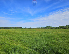 Działka na sprzedaż, Tarnogórski Ożarowice Zendek ks. Antoniego Śliwy, 250 000 zł, 19 700 m2, 97/5552/OGS