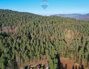 Leśne na sprzedaż, Żywiecki Czernichów Tresna, 554 900 zł, 22 196 m2, 5770/3123/OGS