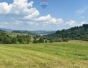 Działka na sprzedaż, Nowotarski Łapsze Niżne Falsztyn Ogrodowa, 280 000 zł, 1255 m2, 2575/2680/OGS