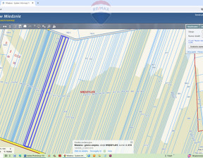 Działka na sprzedaż, Węgrowski Miedzna Międzyleś, 26 598 zł, 5009 m2, 638/3992/OGS