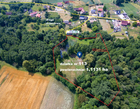 Działka na sprzedaż, Górowski Jemielno Piotrowice Małe, 560 000 zł, 11 131 m2, 105/9148/OGS