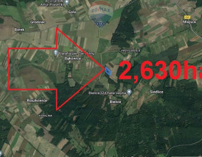 Rolny na sprzedaż, Namysłowski Świerczów Bielice, 119 000 zł, 26 300 m2, 283/3088/OGS