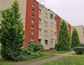 Mieszkanie do wynajęcia, Katowice Brynów Zofii Kossak-Szczuckiej, 3500 zł, 79,67 m2, 221/2673/OMW