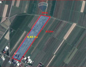Rolny na sprzedaż, Grójecki Błędów Goliany, 1 200 000 zł, 56 500 m2, 18/11605/OGS