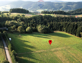 Działka na sprzedaż, Nowosądecki Kamionka Wielka Mszalnica, 350 000 zł, 6700 m2, 2590/2680/OGS