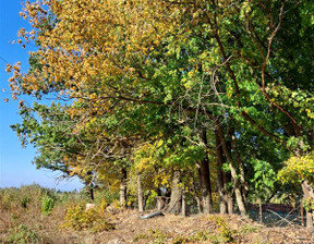 Rolny na sprzedaż, Elbląski Tolkmicko Suchacz Suchacz, 812 400 zł, 10 832 m2, EL02975