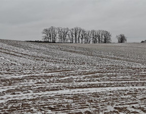 Rolny na sprzedaż, Sztumski Sztum Postolin, 630 080 zł, 114 560 m2, EL02923