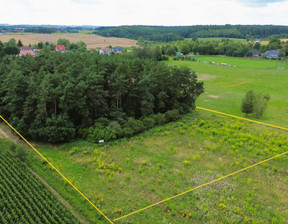 Leśne na sprzedaż, Ostródzki (pow.) Ostróda (gm.) Zwierzewo, 200 000 zł, 9171 m2, 14153/IX-598/589