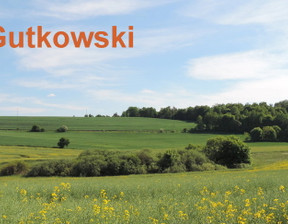 Rolny na sprzedaż, Nowomiejski (Pow.) Nowe Miasto Lubawskie (Gm.) Lekarty, 225 000 zł, 24 443 m2, 3784C