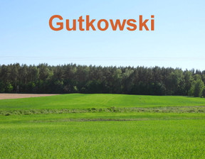 Działka na sprzedaż, Iławski (Pow.) Iława Ławice, 199 000 zł, 16 200 m2, 3793