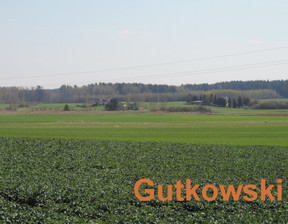 Rolny na sprzedaż, Iławski (Pow.) Iława (Gm.) Dziarny, 89 000 zł, 4140 m2, 3799