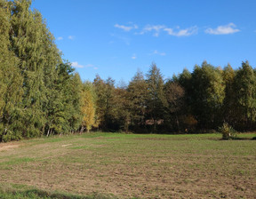 Rolny na sprzedaż, Radziejowski Topólka, 38 000 zł, 2000 m2, 983764