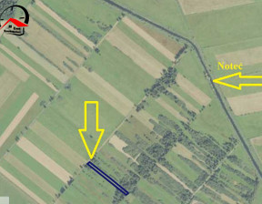 Rolny na sprzedaż, Żniński Łabiszyn Nowe Dąbie, 43 500 zł, 5200 m2, 310930206