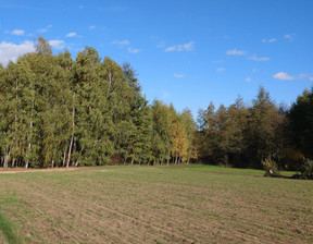 Rolny na sprzedaż, Radziejowski Topólka, 40 000 zł, 2000 m2, 590388