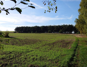 Rolny na sprzedaż, Radziejowski Topólka, 40 000 zł, 2000 m2, 590388