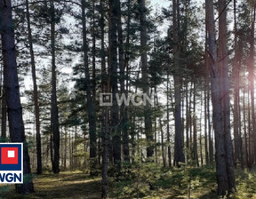 Działka na sprzedaż, Wieluński Pątnów Gligi Gligi, 250 000 zł, 63 576 m2, 515