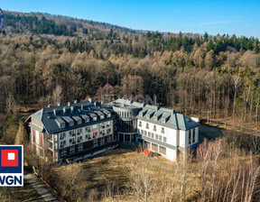 Hotel, pensjonat na sprzedaż, Bielsko-Biała Mikuszowice Śląskie, 14 900 000 zł, 4391,49 m2, 4683