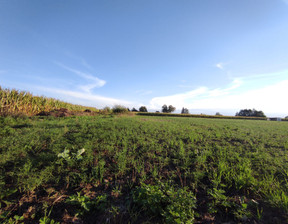 Działka na sprzedaż, Wągrowiecki (Pow.) Mieścisko (Gm.) Gorzewo, 98 320 zł, 1229 m2, 11