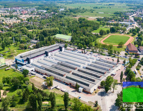 Magazyn do wynajęcia, Pabianicki Pabianice gen. Stefana Grota Roweckiego, 8100 zł, 540 m2, 6092