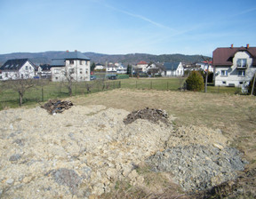 Działka na sprzedaż, Bielski (pow.) Kozy (gm.) Kozy, 650 000 zł, 1300 m2, 249