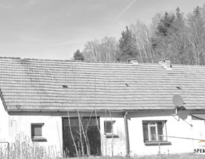 Dom na sprzedaż, Krakowski Krzeszowice Nawoja, 390 000 zł, 170 m2, SPEK-DS-2424