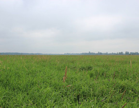 Rolny na sprzedaż, Gryfiński Mieszkowice Kłosów, 1 350 700 zł, 385 931 m2, 54360868