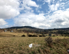 Działka na sprzedaż, Wałbrzyski Głuszyca Sierpnica Zielone Wzgórze, 4 000 000 zł, 40 489 m2, TC566132