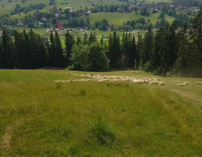 Rolny na sprzedaż, Tatrzański Zakopane Łosiówki, 440 550 zł, 2937 m2, TC369978