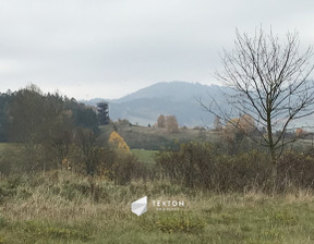 Działka na sprzedaż, Wałbrzyski Mieroszów Kwiatowa, 1 035 000 zł, 11 500 m2, TC863503