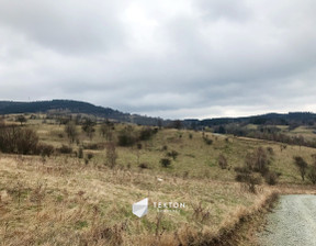 Działka na sprzedaż, Wałbrzyski Głuszyca Sierpnica Zielone Wzgórze, 1 500 000 zł, 25 036 m2, TC101954