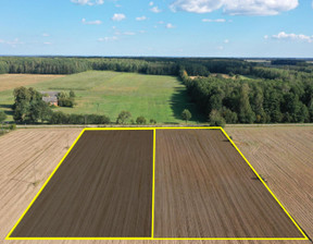 Działka na sprzedaż, Łomżyński Przytuły, 59 000 zł, 3001 m2, 2215