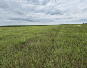 Działka na sprzedaż, Jarociński (Pow.) Żerków (Gm.) Żerków, 562 100 zł, 5233 m2, TTT-00000516