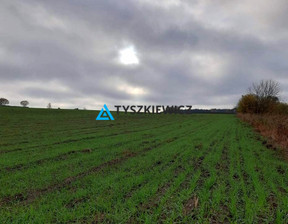 Rolny na sprzedaż, Starogardzki Starogard Gdański Siwiałka, 301 400 zł, 3014 m2, TY570991