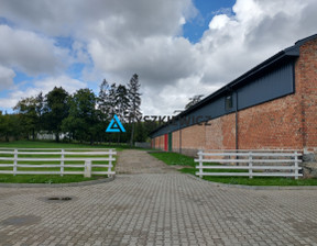 Hala do wynajęcia, Gdański Kolbudy Bąkowo, 24 000 zł, 1200 m2, TY293597